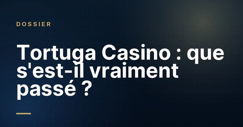 Les Tendances Évoluent : l'influence croissante des contenus numériques sur le divertissement Les Tendances Évoluent : l'influence croissante des contenus numériques sur, casino tortuga